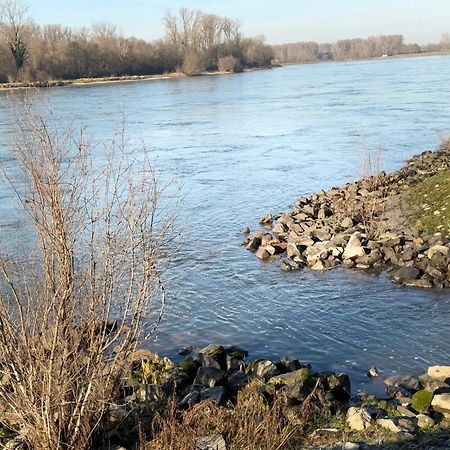 Ferienhaus Hoffmann Am Rheinbogen Altlussheim Ngoại thất bức ảnh