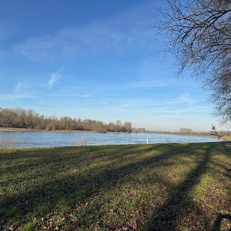 Ferienhaus Hoffmann Am Rheinbogen Altlussheim Ngoại thất bức ảnh