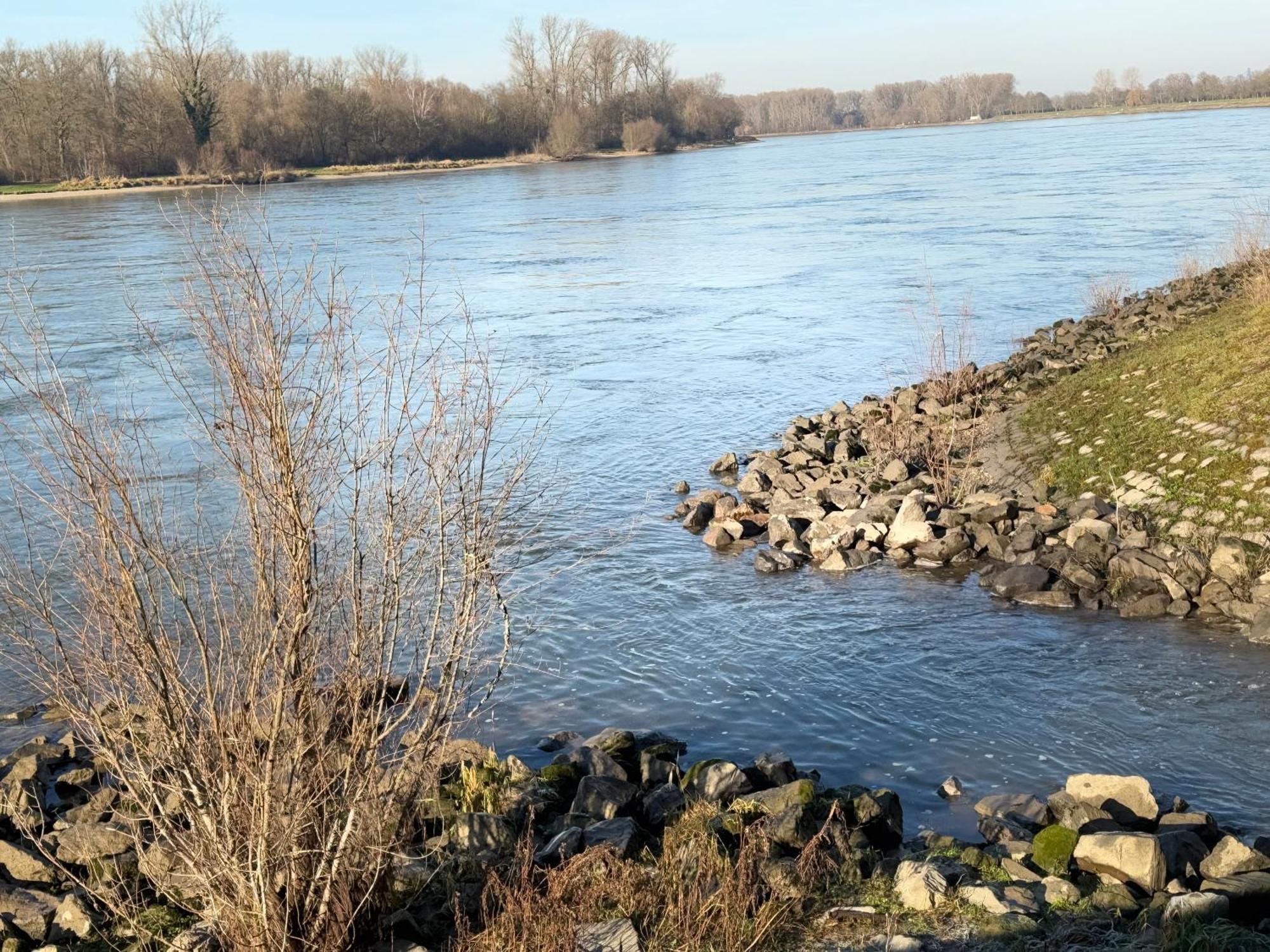 Ferienhaus Hoffmann Am Rheinbogen Altlussheim Ngoại thất bức ảnh