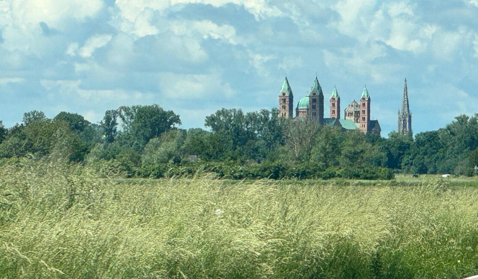 Ferienhaus Hoffmann Am Rheinbogen Altlussheim Ngoại thất bức ảnh